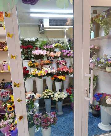 Сплит система, холодильник для цветов