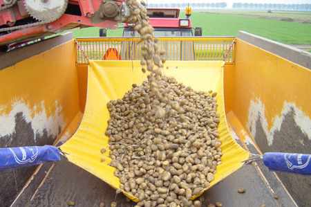 Система бережной уборки картофеля-система анти-шок