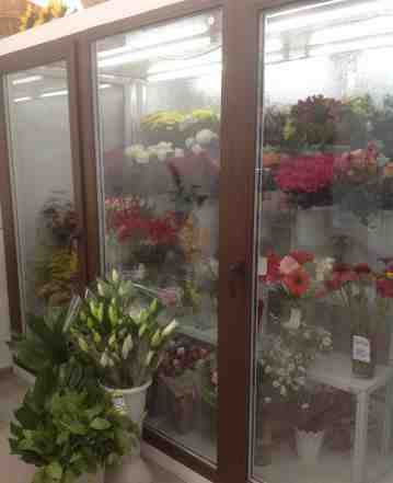 Холодильник для цветов (холодильная камера)