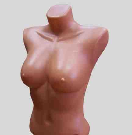 Торс (манекен) женский пластиковый