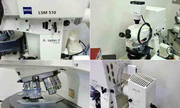 Лазерный сканирующий микроскоп Carl Zeiss LSM 510