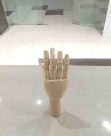 Модель кисти руки для демонстрации перчаток
