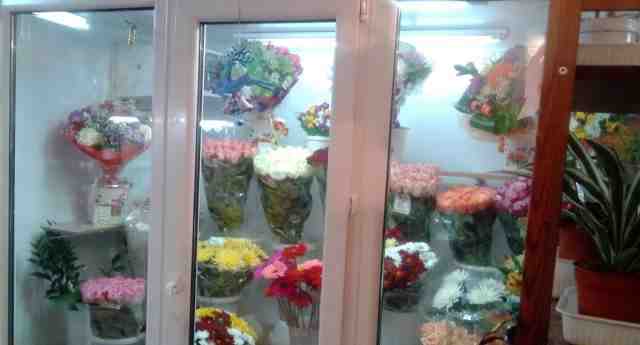 Холодильник ветрина под цветы