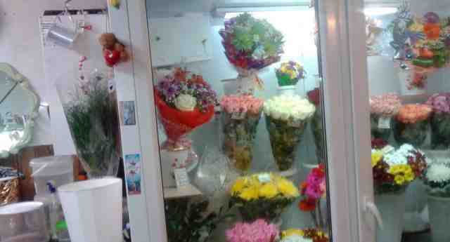 Холодильник ветрина под цветы