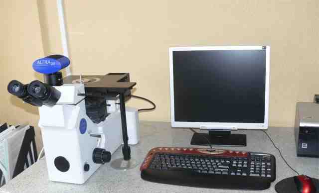  Olympus GX51 - инвертированный микроскоп