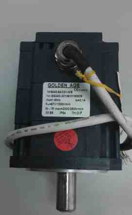 Электромотор Golden Age GK6040-6AC31 -WE