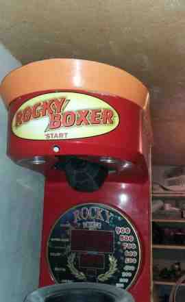Rocky boxer
