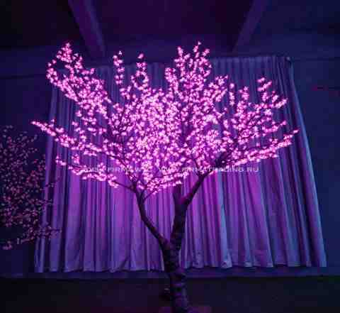 Красивые Светящиеся деревья Сакура