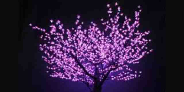 Красивые Светящиеся деревья Сакура